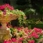 Een grote tuin inrichten: 4 tips